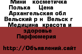 Мини - косметичка “Полька“ › Цена ­ 200 - Архангельская обл., Вельский р-н, Вельск г. Медицина, красота и здоровье » Парфюмерия   